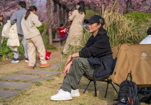 20250311-顾村公园