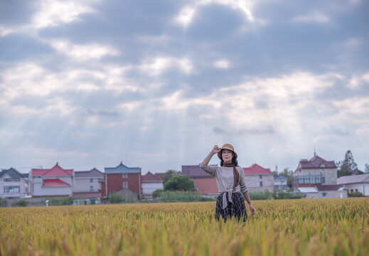 20251008-罗泾花红村